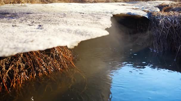 Melting Ice Cold River Early Spring Season Beautiful Nature Scene — Wideo stockowe