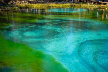 Altai Cumhuriyeti 'nde mavi killi Gayzer Gölü. Blue Lake, Rusya 'da turistik bir yer. Yüksek kalite fotoğraf