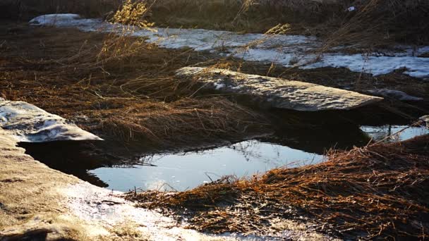 早春季节 冰冷的河流上的冰融化了 美丽的自然景观与雪 冰和快速的河水紧密相连 春天来了 全球变暖 季节变换的概念 高质量的4K镜头 — 图库视频影像