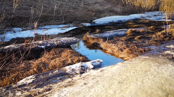 Melting Ice Cold River Early Spring Season Beautiful Nature Scene — Stok video