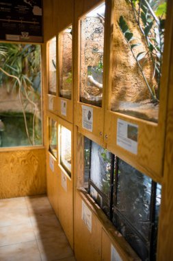 Zajezd, Czech republic - December 26, 2022: Terrarium of Zajezd Zoo located near Prague without people in winter time, Czech republic. High quality photo