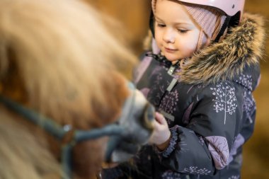 Ders başlamadan önce kahverengi midillisiyle birlikte koruyucu ceketli ve kasklı küçük bir kızın portresi. Yüksek kalite fotoğraf