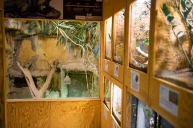 Zajezd, Czech republic - December 26, 2022: Terrarium of Zajezd Zoo located near Prague without people in winter time, Czech republic. High quality photo