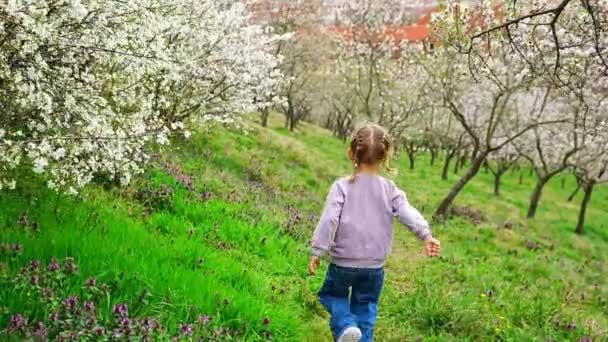 Glückliche Kleine Mädchen Laufen Und Haben Einen Spaß Frühling Park — Stockvideo