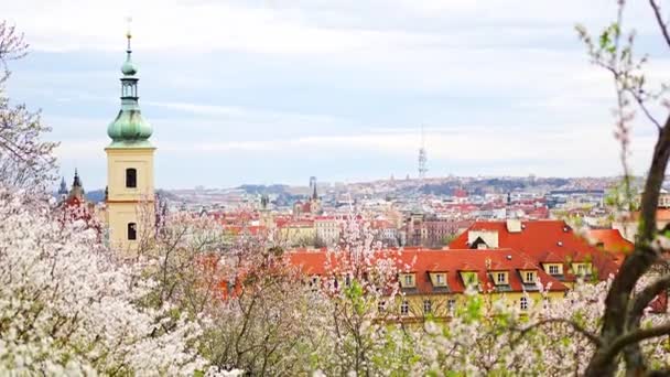 Rami Fiorenti Hanno Coperto Fiori Paesaggio Urbano Pittoresco Praga Tempo — Video Stock