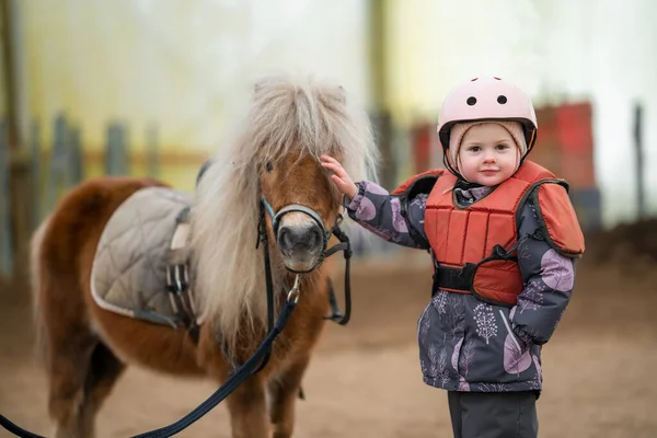 stock image Portrait of little girl in protective jacket and helmet with her brown pony before riding Lesson. High quality photo