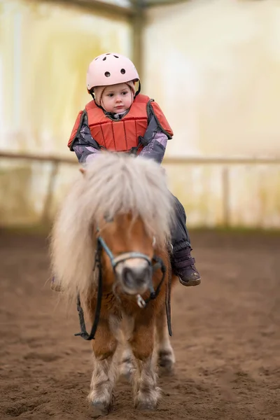 stock image Little Child Riding Lesson. Three-year-old girl rides a pony and does exercises. High quality photo
