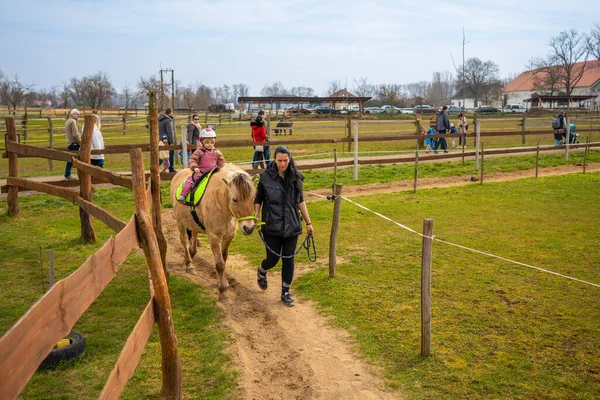 stock image Zelcin, Czech Republic - March 19, 2023: Little girl riding on horse in contact zoo with domestic animals and people in Zelcin, Czech republic. High quality photo