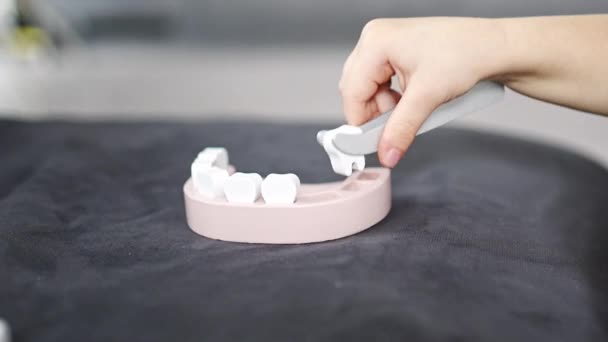 Mała Dziewczynka Bawiąca Się Dentystę Drewnianymi Zabawkami Kanapie Salonie Domu — Wideo stockowe