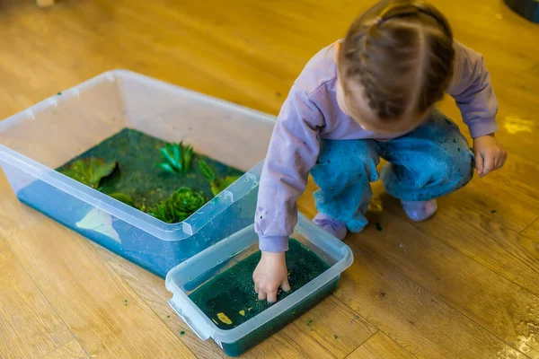 stock image Little girl playing in handmade swamp of green-dyed chia seeds with insect, fish and plant models. Sensory development and experiences, themed activities with children, fine motor skills development. 