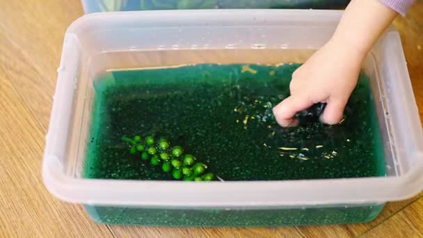Kleines Mädchen Beim Spielen Handgemachten Sumpf Aus Grün Gefärbten Chiasamen — Stockvideo