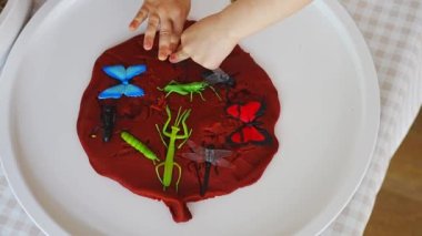 Oynamak için plastik ve oyuncak böcekler. Duyusal gelişim ve deneyimler, çocuklarla ilgili temalı aktiviteler, iyi motor beceriler geliştirme. Yüksek kalite 4k görüntü