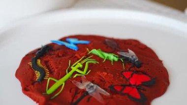 Oynamak için plastik ve oyuncak böcekler. Duyusal gelişim ve deneyimler, çocuklarla ilgili temalı aktiviteler, iyi motor beceriler geliştirme. Yüksek kalite 4k görüntü