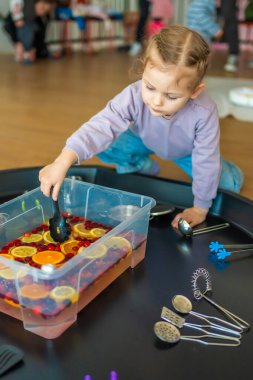 Küçük kız mutfak malzemeleri, böğürtlen ve narenciye ile el yapımı meyve barında oynuyor. Duyusal gelişim ve deneyimler, çocuklarla ilgili temalı aktiviteler, iyi motor beceriler geliştirme.