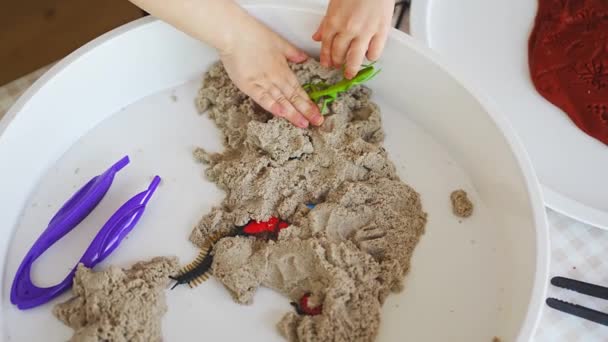 Menina Brincando Com Areia Cinética Brinquedos Inseto Desenvolvimento Sensorial Experiências — Vídeo de Stock