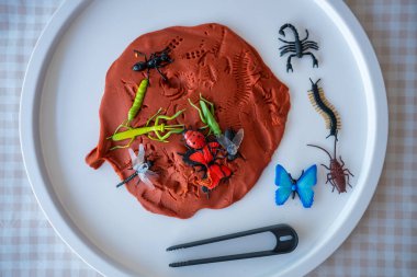 Oynamak için plastik ve oyuncak böcekler. Duyusal gelişim ve deneyimler, çocuklarla ilgili temalı aktiviteler, iyi motor beceriler geliştirme. Yüksek kalite fotoğraf