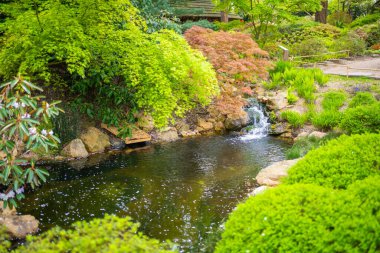 Japon bahçesi Prag 'daki botanik bahçesinin bir parçasıdır. Yüksek kalite fotoğraf