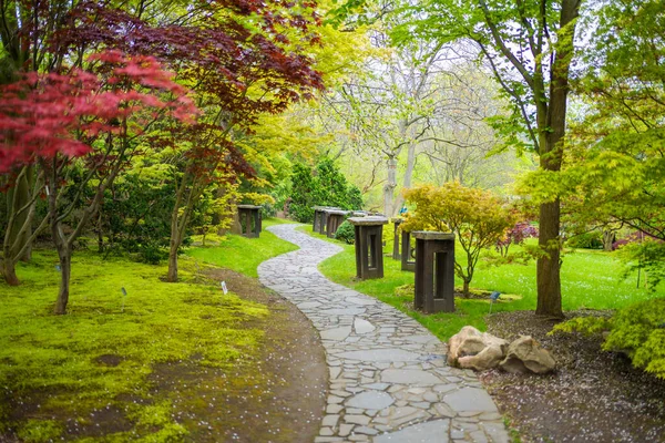 Japanese garden is part of botanic garden in Prague. High quality photo