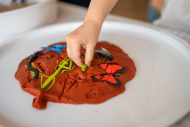 Küçük bir kız plastik ve oyuncak böceklerle oynuyor. Duyusal gelişim ve deneyimler, çocuklarla ilgili temalı aktiviteler, iyi motor beceriler geliştirme. Yüksek kalite fotoğraf
