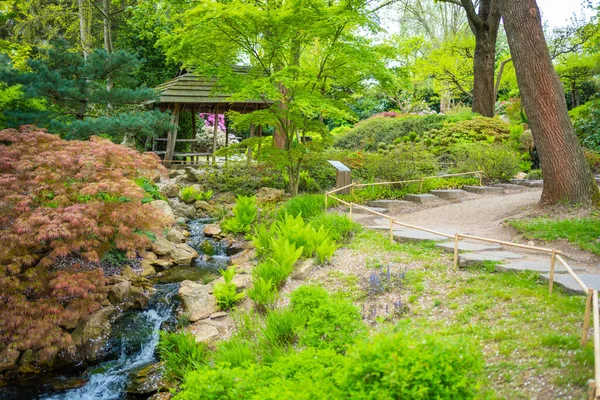 Japanese garden is part of botanic garden in Prague. High quality photo