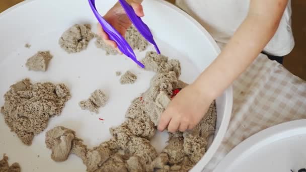 Κοριτσάκι Που Παίζει Κινητική Άμμο Και Έντομα Αισθητηριακή Ανάπτυξη Και — Αρχείο Βίντεο