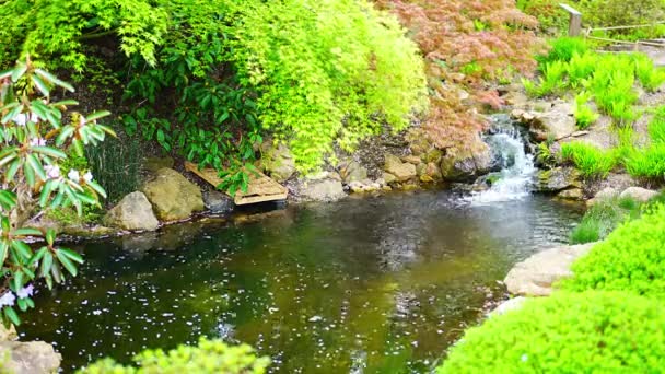 Cascada Jardín Japonés Parte Del Jardín Botánico Praga República Checa — Vídeo de stock