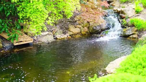 日本庭園の滝はチェコ共和国プラハの植物園の一部です 高品質4K映像 — ストック動画