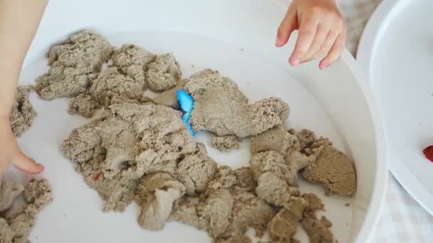 Meisje Speelt Met Kinetisch Zand Speelgoed Insect Sensorische Ontwikkeling Ervaringen — Stockvideo