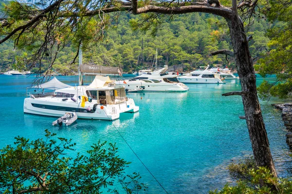 フェティエ トルコ 2023年6月4日 トルコのフェティエ近くの美しい海の海岸クレオパトラバース湾 ムーアヨット 澄んだ青い水と松の木と夏の風景 高品質の写真 — ストック写真