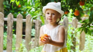 Türkiye 'deki güneşli portakal bahçesinden taze portakal toplayan küçük bir kız. Yüksek kalite 4k görüntü