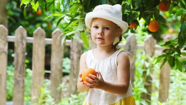 Niña Recogiendo Naranjas Frescas Maduras Soleado Jardín Naranjos Turquía Imágenes — Vídeo de stock