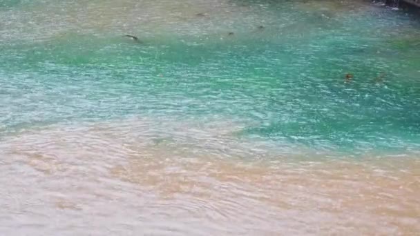Strömmen Smutsigt Vatten Rinner Det Klara Vattnet Bergsflod Regnstorm Turkiet — Stockvideo