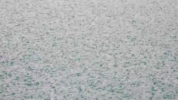 Silny Deszcz Uderza Powierzchnię Jeziora Deszcz Silnymi Wiatrami Krople Deszczu — Wideo stockowe