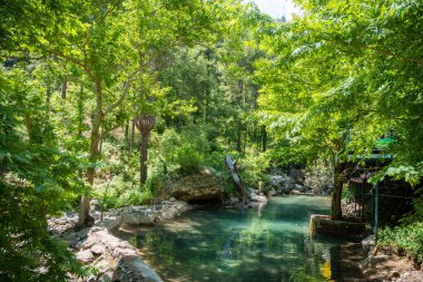 Türkiye 'nin Alanya yakınlarındaki Taurus dağlarında nehir, ahşap patikalar ve şelale şelaleleri bulunan Sapadere kanyonu. Yüksek kalite fotoğraf