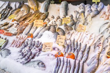 Türkiye 'nin Alanya kentindeki balık pazarındaki çeşitli deniz ürünleri ve balıkların yakın görüntüsü. Çiğ balık ve deniz ürünleri. Yüksek kalite fotoğraf