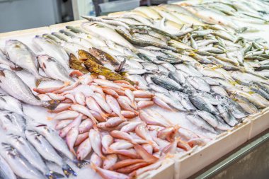 Türkiye 'nin Alanya kentindeki balık pazarındaki çeşitli deniz ürünleri ve balıkların yakın görüntüsü. Çiğ balık ve deniz ürünleri. Yüksek kalite fotoğraf