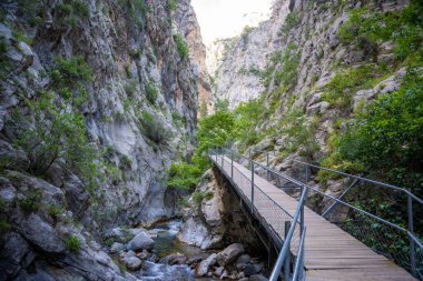 Türkiye 'nin Alanya yakınlarındaki Taurus dağlarında ahşap patikaları ve şelaleleri olan Sapadere kanyonu. Yüksek kalite fotoğraf