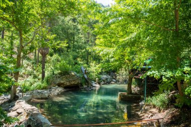 Türkiye 'nin Alanya yakınlarındaki Taurus dağlarında nehir, ahşap patikalar ve şelale şelaleleri bulunan Sapadere kanyonu. Yüksek kalite fotoğraf