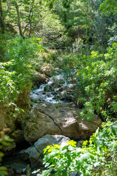 Canyon Sapadere Com Rio Caminhos Madeira Cascatas Cachoeiras Nas Montanhas — Fotografia de Stock