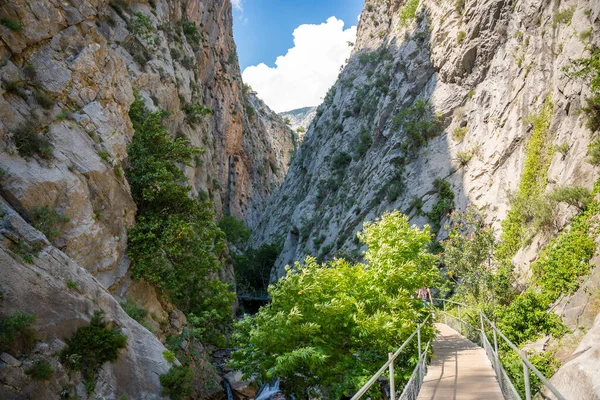 Türkiye 'nin Alanya yakınlarındaki Taurus dağlarında ahşap patikaları ve şelaleleri olan Sapadere kanyonu. Yüksek kalite fotoğraf