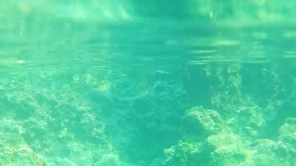 ジェミリー島 トルコのフェティヤ近くのニコラス島の水中ビュー 高品質4K映像 — ストック動画