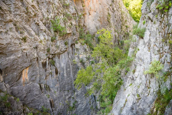 Canyon Sapadere Nas Montanhas Taurus Perto Alanya Turquia Foto Alta — Fotografia de Stock