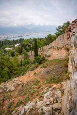 Tarihi bina kalıntıları, duvar ve ön planda bir ağaç gövdesi. Alanya Şatosu, Türkiye 'nin bir parçası. Yüksek kalite fotoğraf
