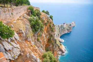 Tarihi bina kalıntıları, duvar ve ön planda bir ağaç gövdesi. Alanya Şatosu, Türkiye 'nin bir parçası. Yüksek kalite fotoğraf