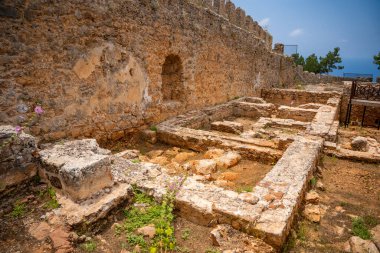 Tarihi bina kalıntıları, duvar ve ön planda bir ağaç gövdesi. Alanya Şatosu, Türkiye 'nin bir parçası. Yüksek kalite fotoğraf