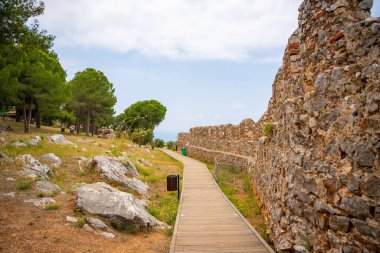 Tarihi bina kalıntıları, duvar ve ön planda bir ağaç gövdesi. Alanya Şatosu, Türkiye 'nin bir parçası. Yüksek kalite fotoğraf