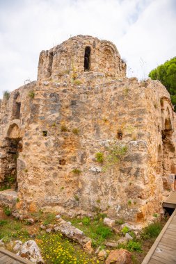 Tarihi bina kalıntıları, duvar ve ön planda bir ağaç gövdesi. Alanya Şatosu, Türkiye 'nin bir parçası. Yüksek kalite fotoğraf