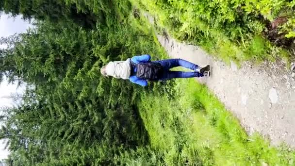 Turisti Che Camminano Nella Foresta Alpina Giorno Estate Escursionisti Escursionisti — Video Stock