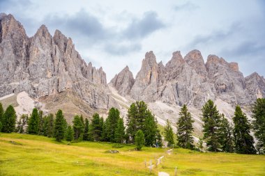 Puez Odle Doğa Parkı 'ndaki Dolomite manzarası. İtalya' nın yeşil çayırlı Alp Platosu 'ndan manzara. Yüksek kalite fotoğraf