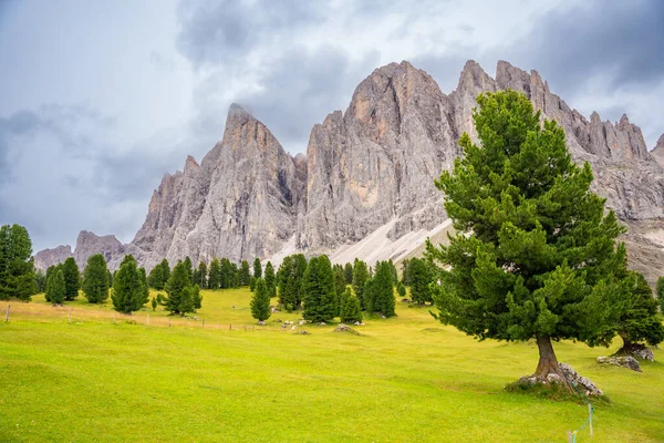 在Puez Odle自然公园中注入白云石景观 意大利高山高原绿地景观 高质量的照片 — 图库照片